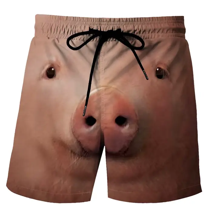 Shorts de plage pour hommes avec motif canard amusant, imprimé 3D animal, boardshorts de sport, de g