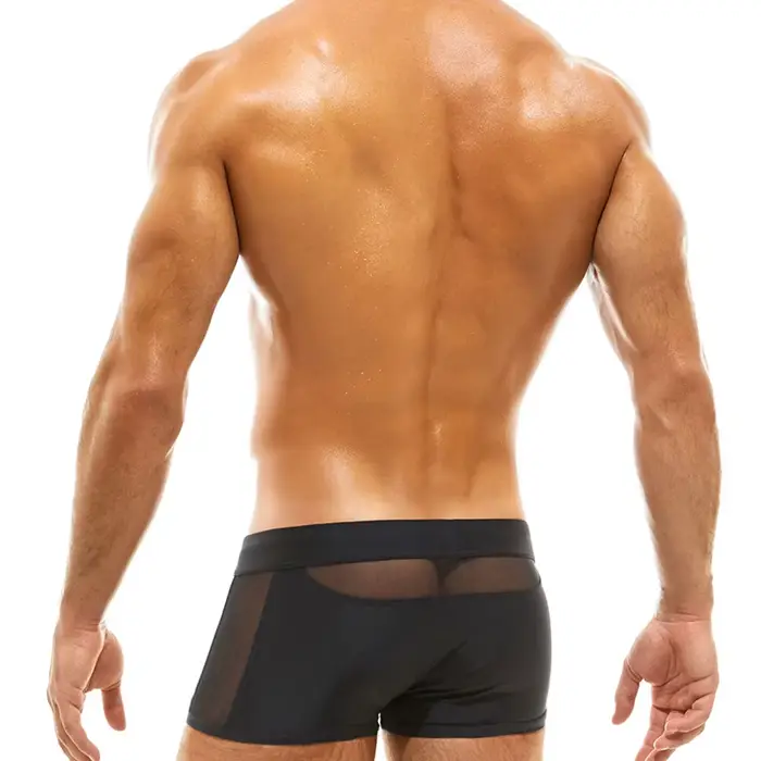 Maillot de bain pour hommes, pantalon de plage, surf, planche de surf, Sexy, maille transparente, co
